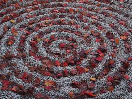 2019　初秋　圓光寺　14