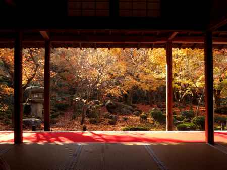 2019　晩秋　圓光寺　1