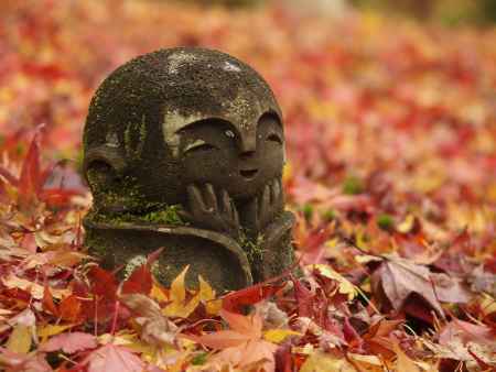 2019　晩秋　圓光寺　3