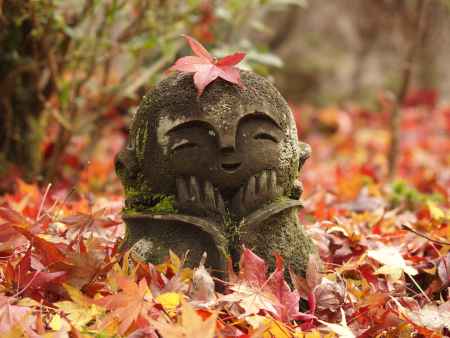 2019　晩秋　圓光寺　5