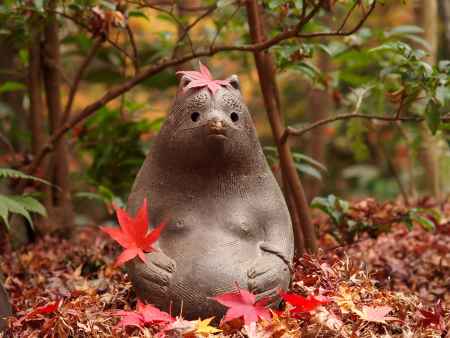 2019　盛秋　厭離庵　1