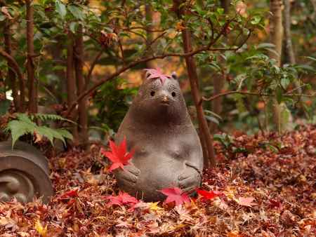 2019　盛秋　厭離庵　2