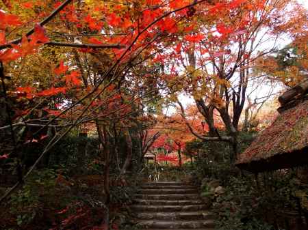 2019　盛秋　厭離庵　3