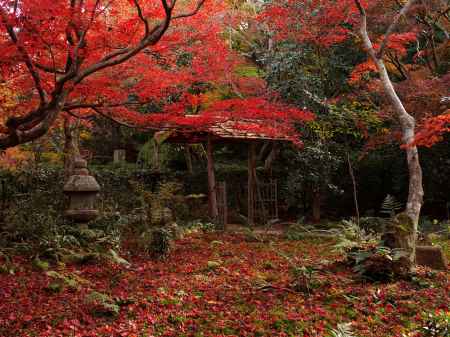 2019　盛秋　厭離庵　6 