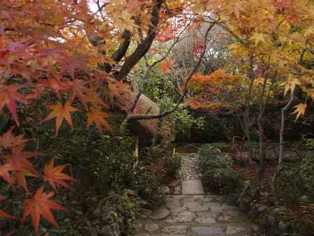 2019　盛秋　厭離庵　7