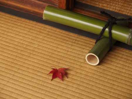 2019　盛秋　厭離庵　8