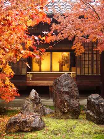2019　晩秋　建仁寺　1