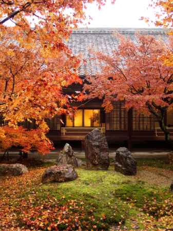 2019　晩秋　建仁寺　2