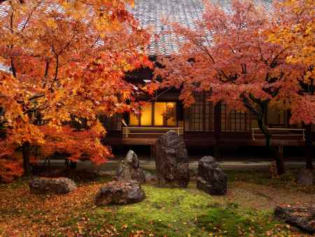 2019　晩秋　建仁寺　3