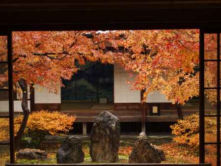 2019　晩秋　建仁寺　7