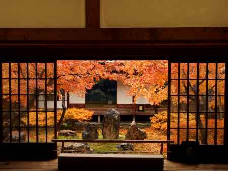 2019　晩秋　建仁寺　8