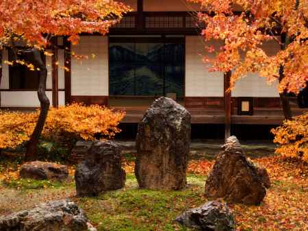 2019　晩秋　建仁寺　9