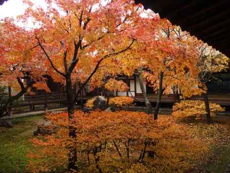 2019　晩秋　建仁寺　11
