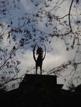 2020　冬　銀閣寺　16　