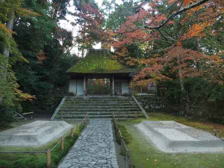 2019　盛秋　法然院　1