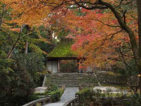 2019　盛秋　法然院　5