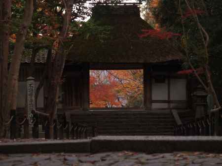 2019　盛秋　法然院　14