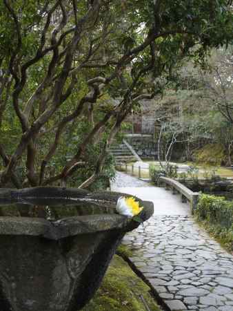 2020　新春　法然院　7