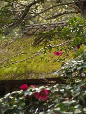 2020　新春　法然院　10