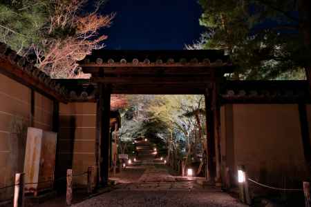 東山花灯路2019 part2