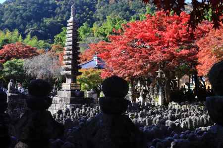 秋の奥嵯峨