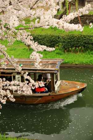 伏見散策　十石船①