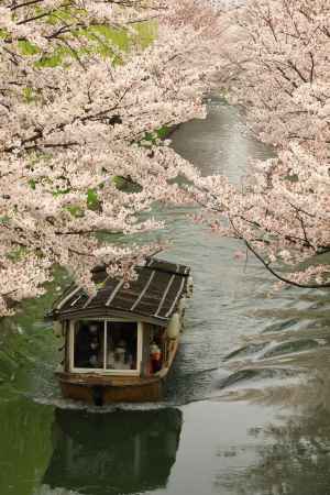 伏見散策　十石船③