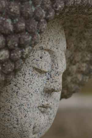 金戒光明寺のアイドル