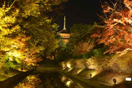 お出迎え_東寺・夜間拝観
