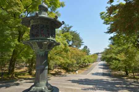 青もみじの中の八角灯籠