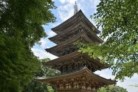 青葉と醍醐寺・五重塔