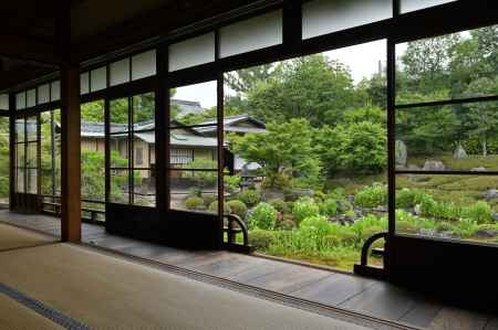 半夏生の庭園＿両足院