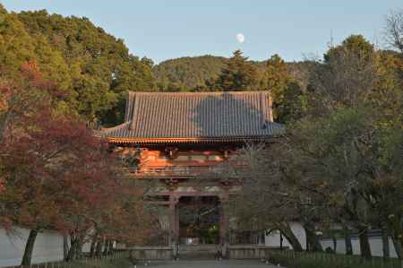 秋の閉門時＿醍醐寺