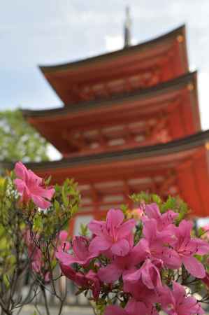 春から初夏へ＿清水寺・子安の塔
