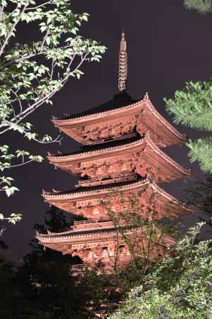 新緑に浮かぶ五重塔＿仁和寺