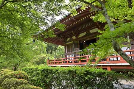 新緑に囲まれた観音堂＿醍醐寺