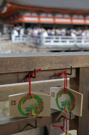 辰年、清水寺の舞台より。