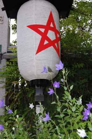 晴明神社の桔梗