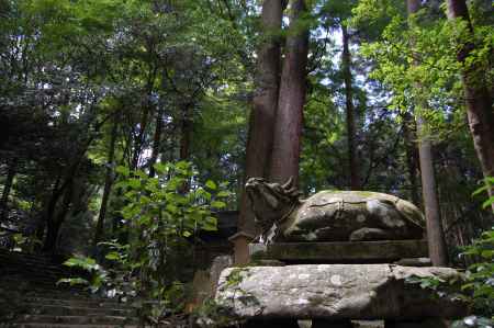 八瀬天満宮社の牛