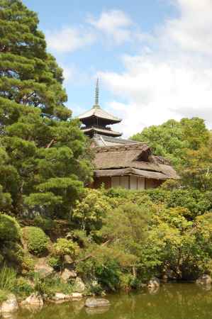 仁和寺庭園