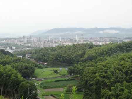 洛西ニュータウンを望む