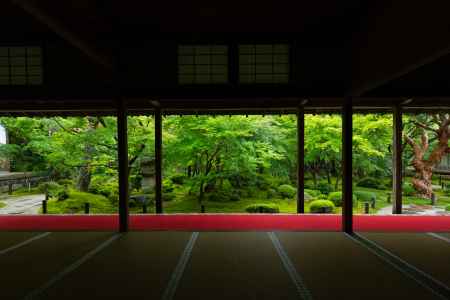 圓光寺の青もみじ