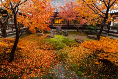 京都建仁寺、晩秋の潮音庭