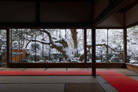雪化粧した宝泉院