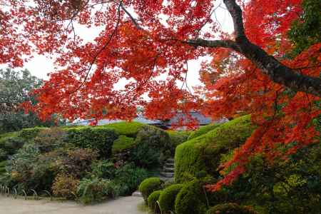 紅葉の詩仙堂