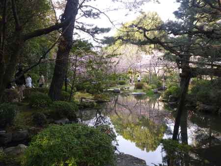 平安神宮神苑の水
