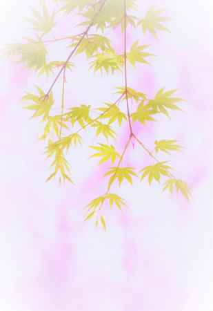 ここも…次の季節へ