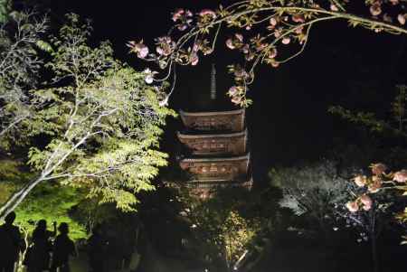 季節の行き交う