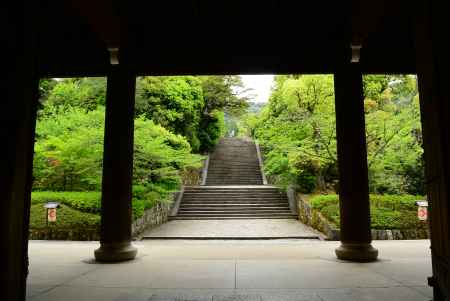 山門　男坂の新緑