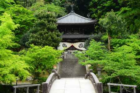 真実というのは もろもろの虚仮の 心なきをいう